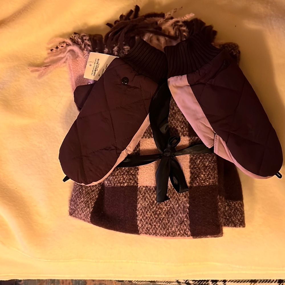 Winter set ( scarf and gloves )